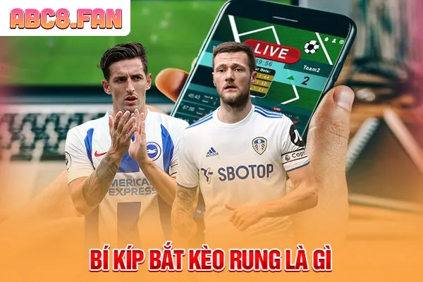Bí kíp bắt kèo rung là gì