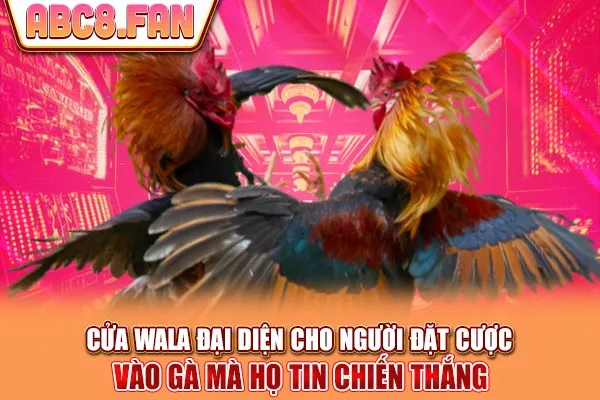 Cửa Wala đại diện cho người đặt cược vào gà mà họ tin chiến thắng