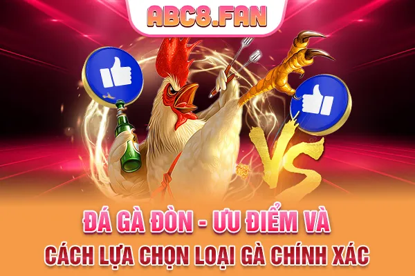 Đá Gà Đòn - Ưu Điểm Và Cách Lựa Chọn Loại Gà Chính Xác 