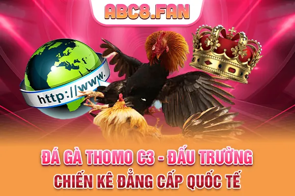 Đá Gà Thomo C3 - Đấu Trường Chiến Kê Đẳng Cấp Quốc Tế