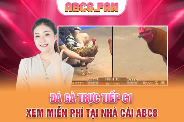 Đá Gà Trực Tiếp C1 - Xem Miễn Phí Full HD Tại Nhà Cái ABC8