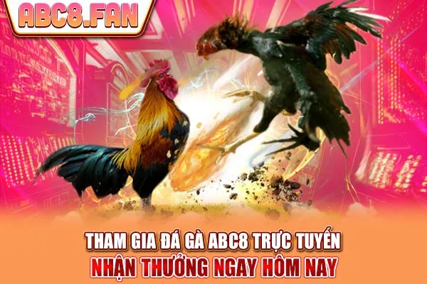 Tham Gia Đá Gà ABC8 Trực Tuyến - Nhận Thưởng Ngay Hôm Nay