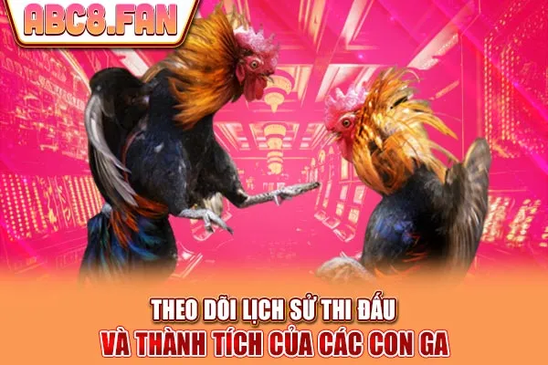 Theo dõi lịch sử thi đấu và thành tích của các con gà